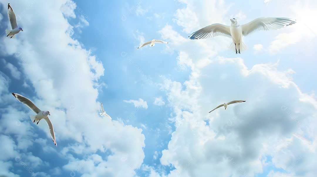 Gaivotas circulando no alto