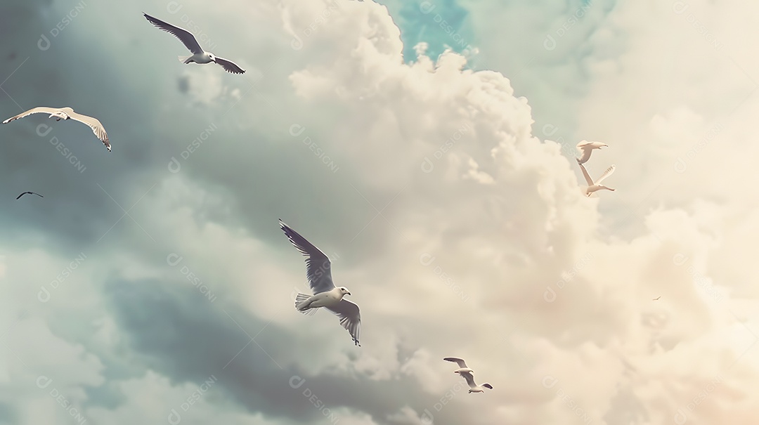 Gaivotas circulando no alto