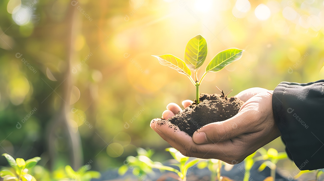 Um close de uma mão plantando uma muda jovem em solo rico sob a luz solar