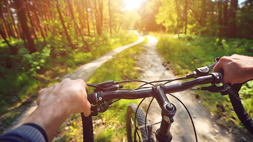 Um passeio panorâmico de bicicleta por uma floresta