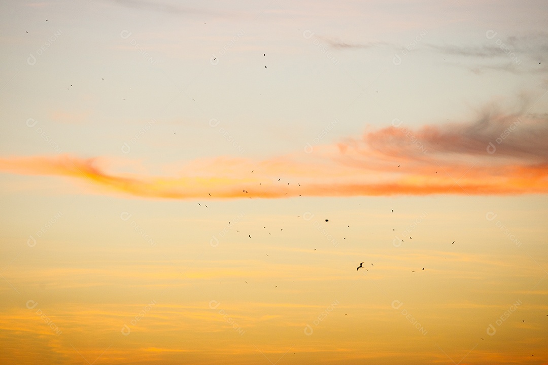 Lindo céu colorido em um nascer do sol de outono