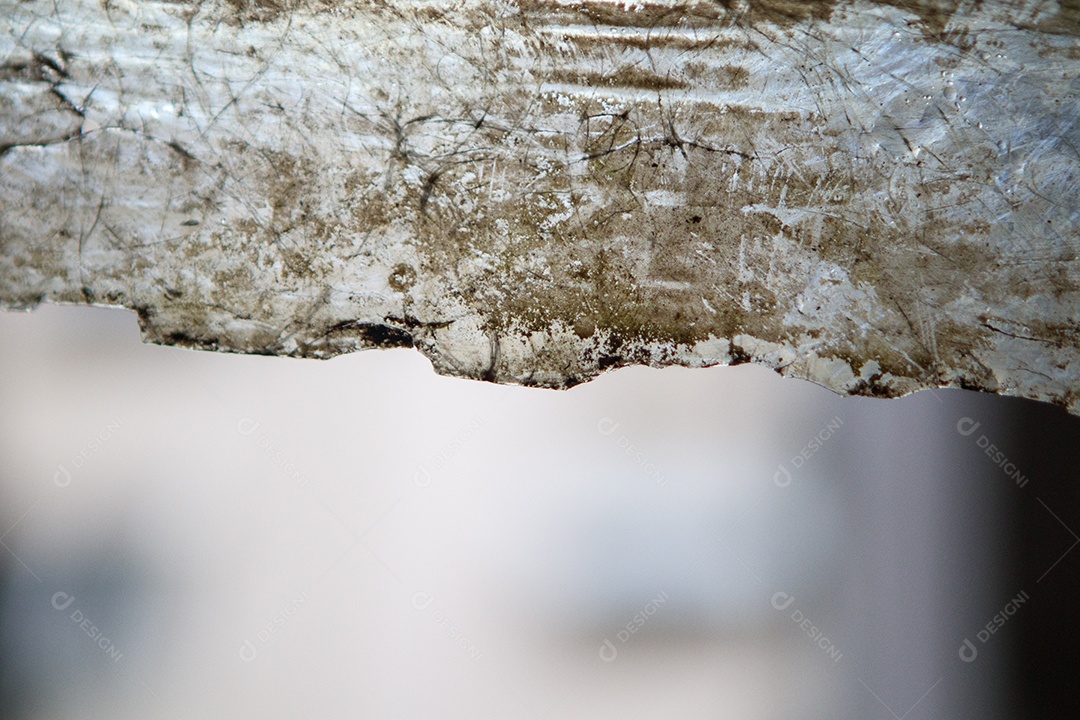 Telha de fibra de vidro em uma casa