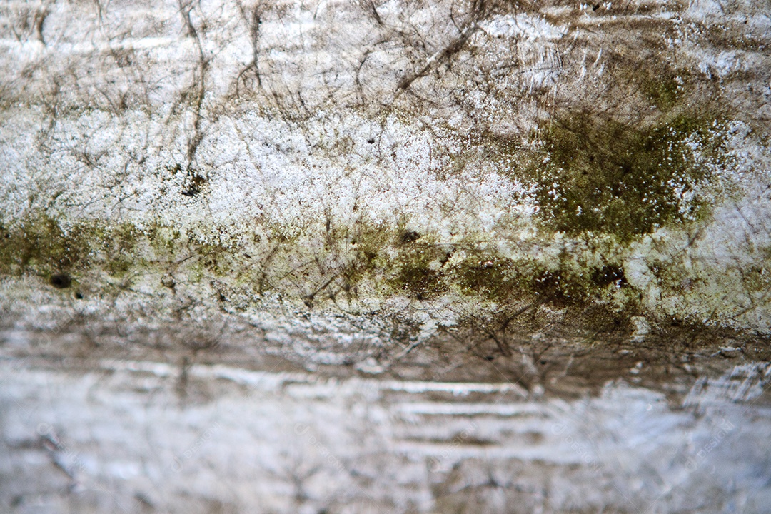 Telha de fibra de vidro em uma casa