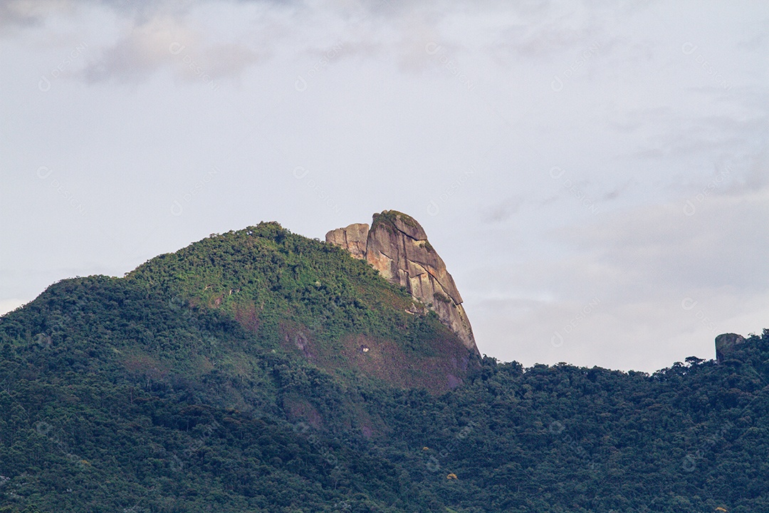 Pico da Pedra Selada em Visconde de Mauá