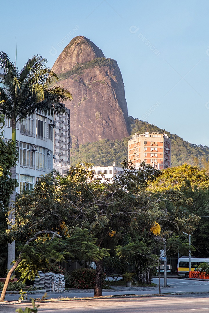 Vista para o morro dois irmãos