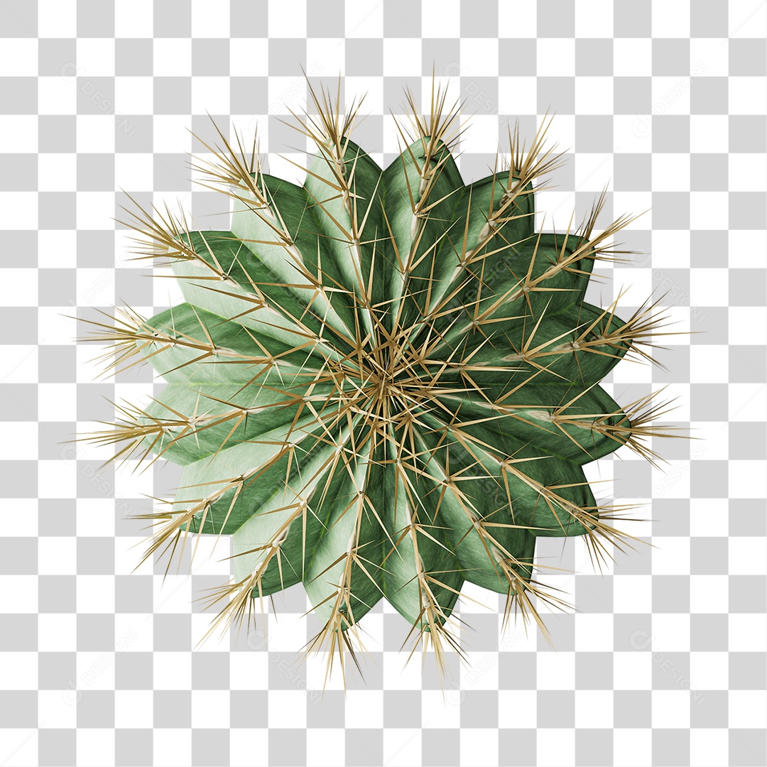Cacto Planta do Deserto PNG Transparente