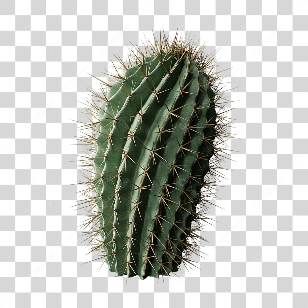 Cacto Planta do Deserto PNG Transparente