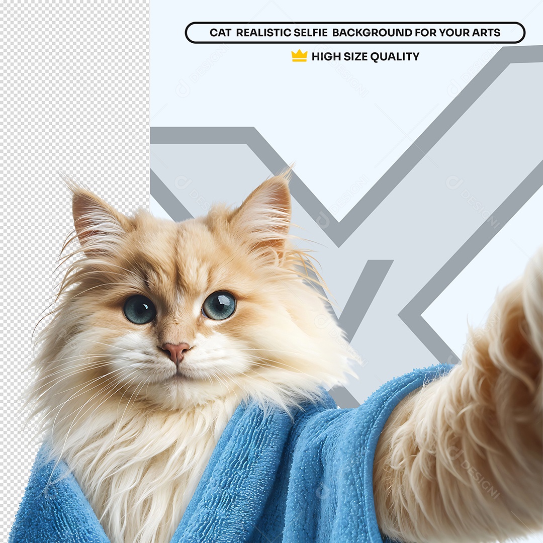 Gatinho com Roupão Azul Elemento 3D para Composição PSD