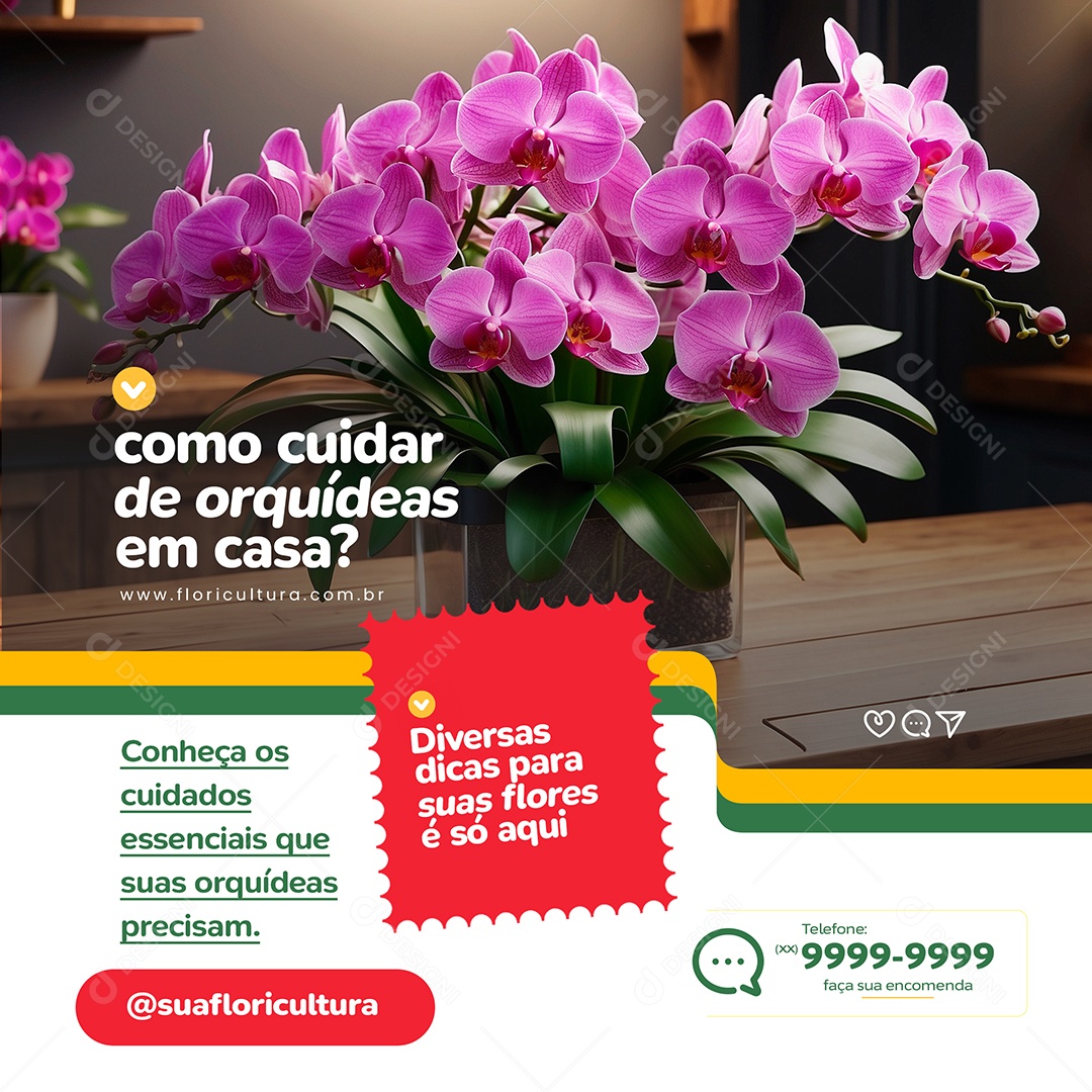 Floricultura Como Cuidar de Orquídeas em Casa Social Media PSD Editável