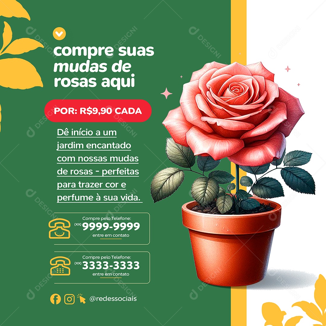 Floricultura Compre suas Mudas de Rosas Aqui Social Media PSD Editável