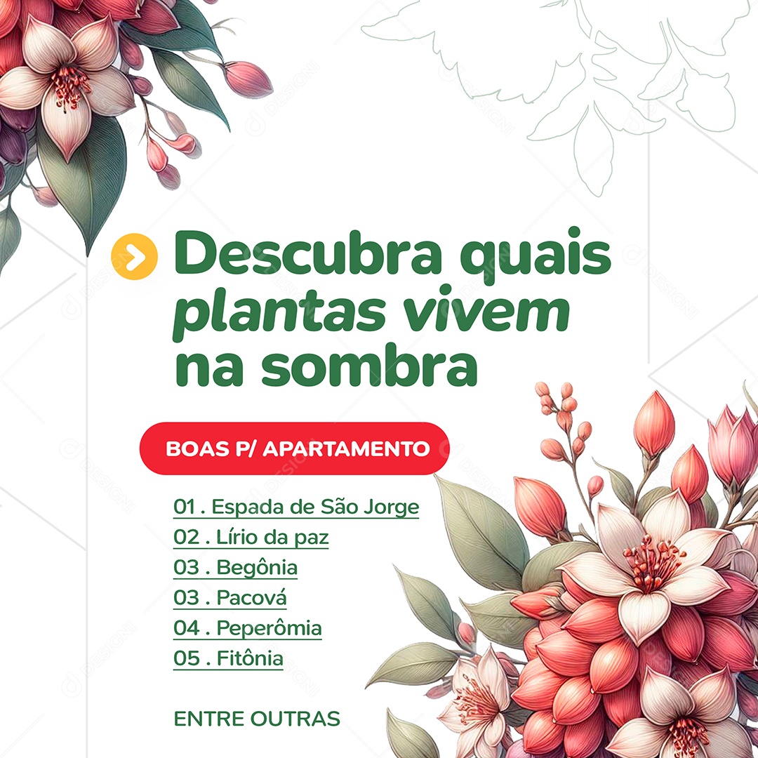 Floricultura Descubra Quais Plantas Vivem na Sombra Social Media PSD Editável