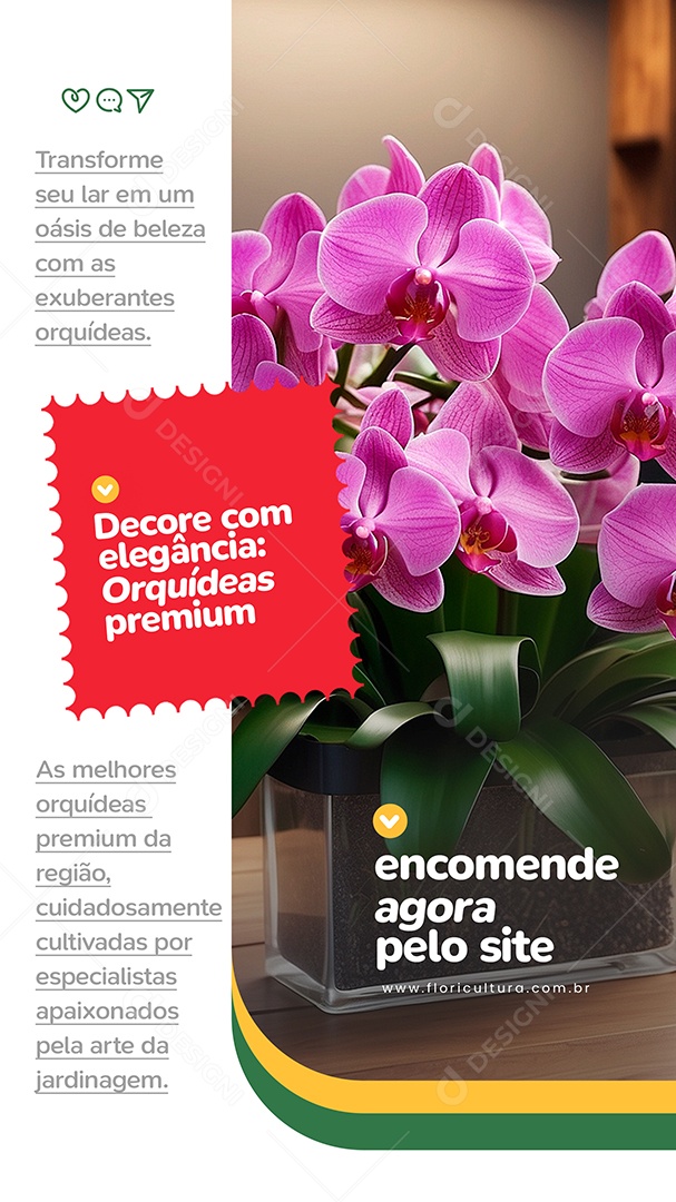 Story Floricultura Decore com Elegância Orquídeas Premium Social Media PSD Editável