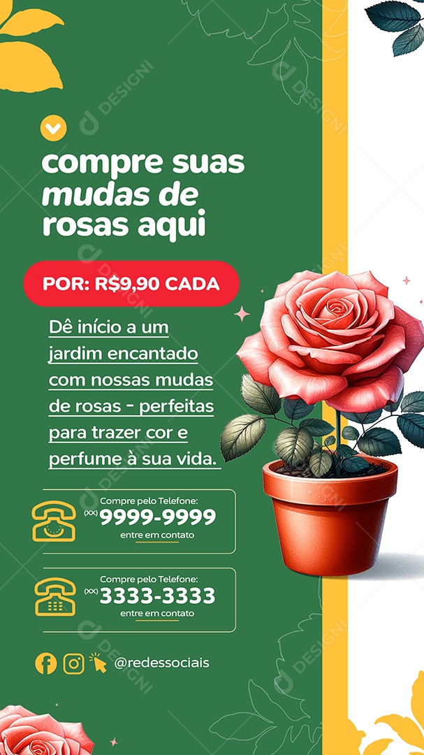 Story Floricultura Compre suas Mudas de Rosas Aqui Social Media PSD Editável