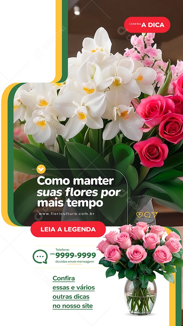 Story Floricultura Como Manter suas Flores por Mais Tempo Social Media PSD Editável