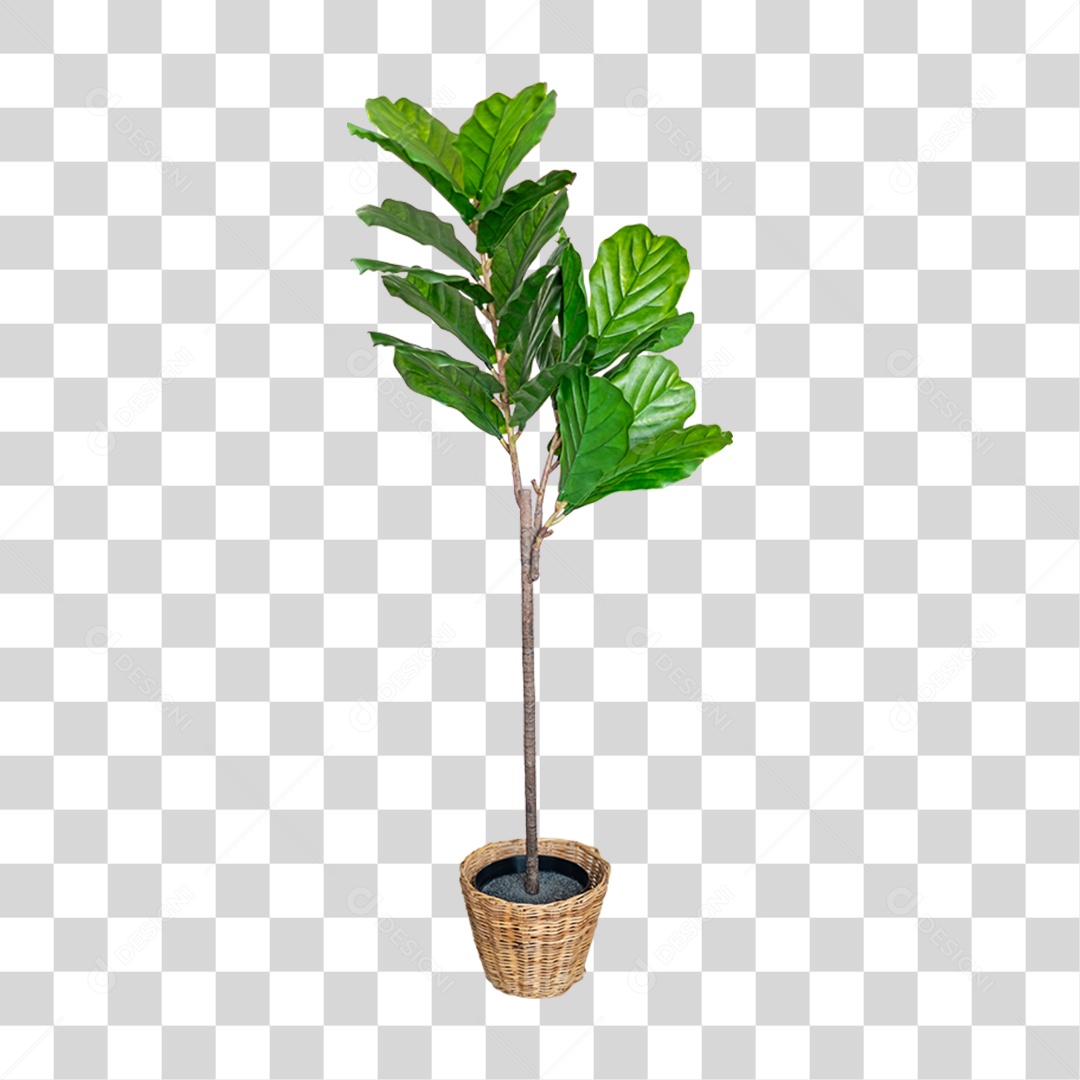 Planta em Vaso PNG Transparente