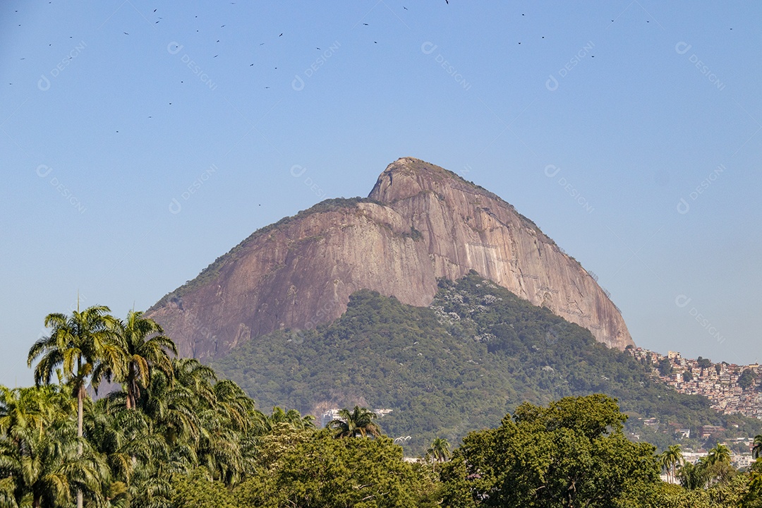 Morro dois irmãos sobre fundo de céu azul