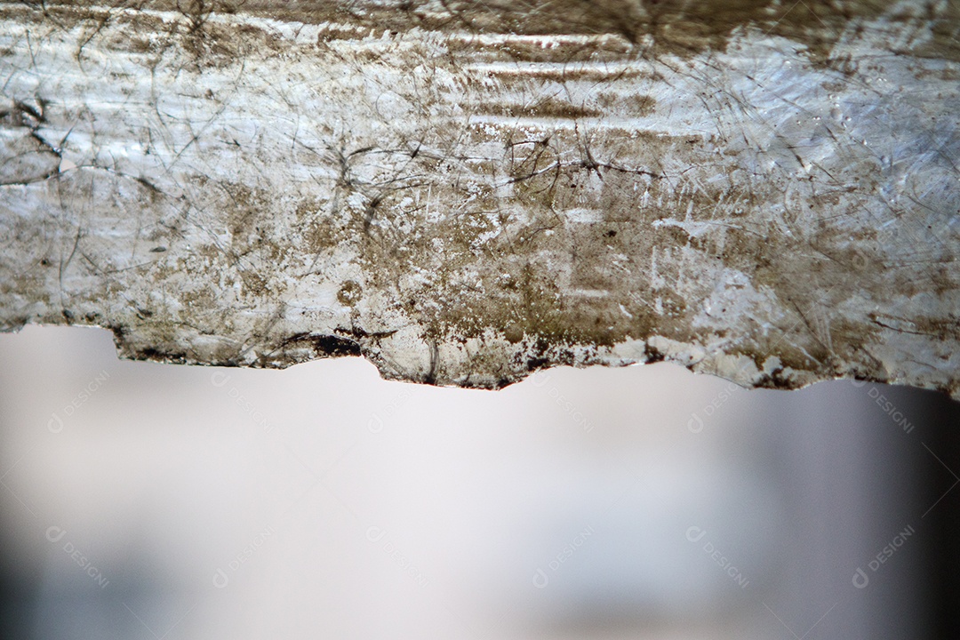 Telha de fibra de vidro em uma casa