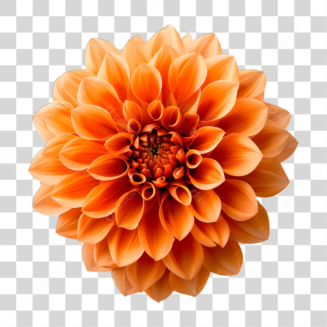 Flor Laranjada PNG Transparente