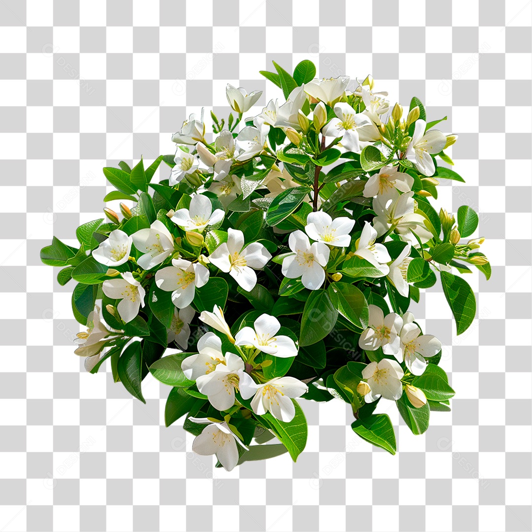 Flores Brancas PNG Transparente