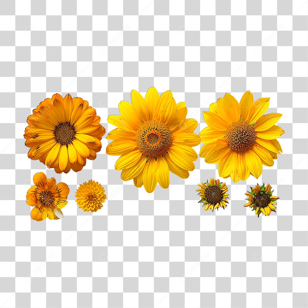 Transparent Yellow Flower PNG