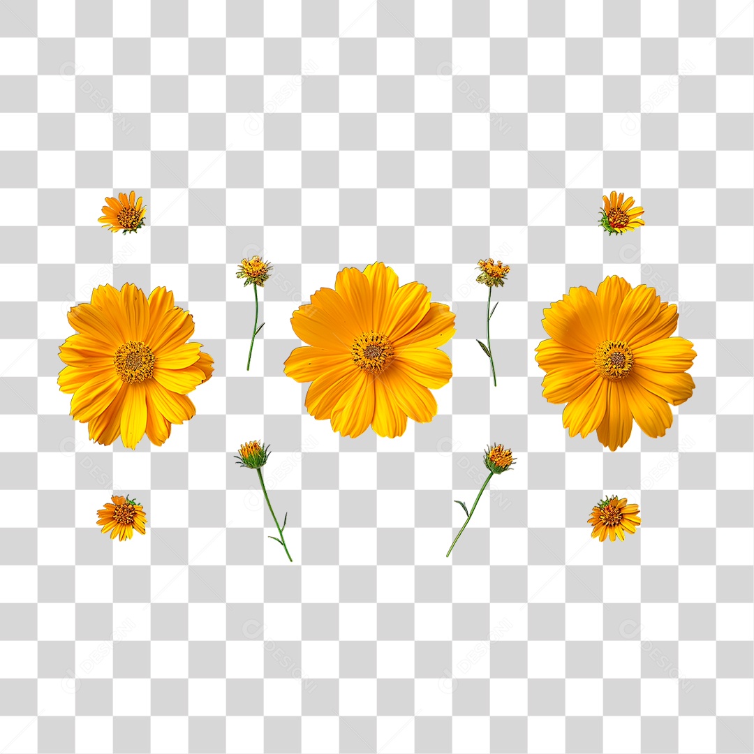 Flor Amarela PNG Transparente