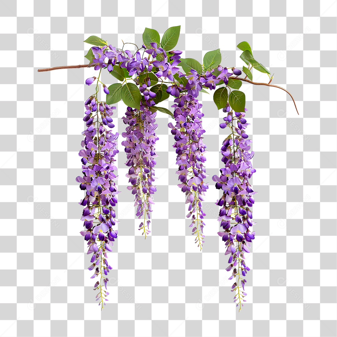 Planta Galho PNG Transparente