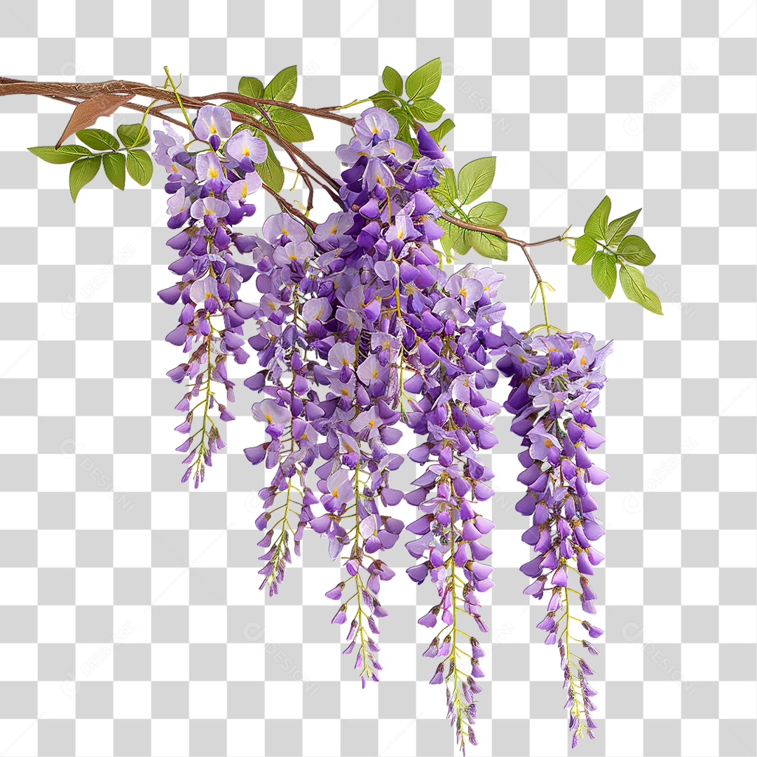 Planta Galho PNG Transparente