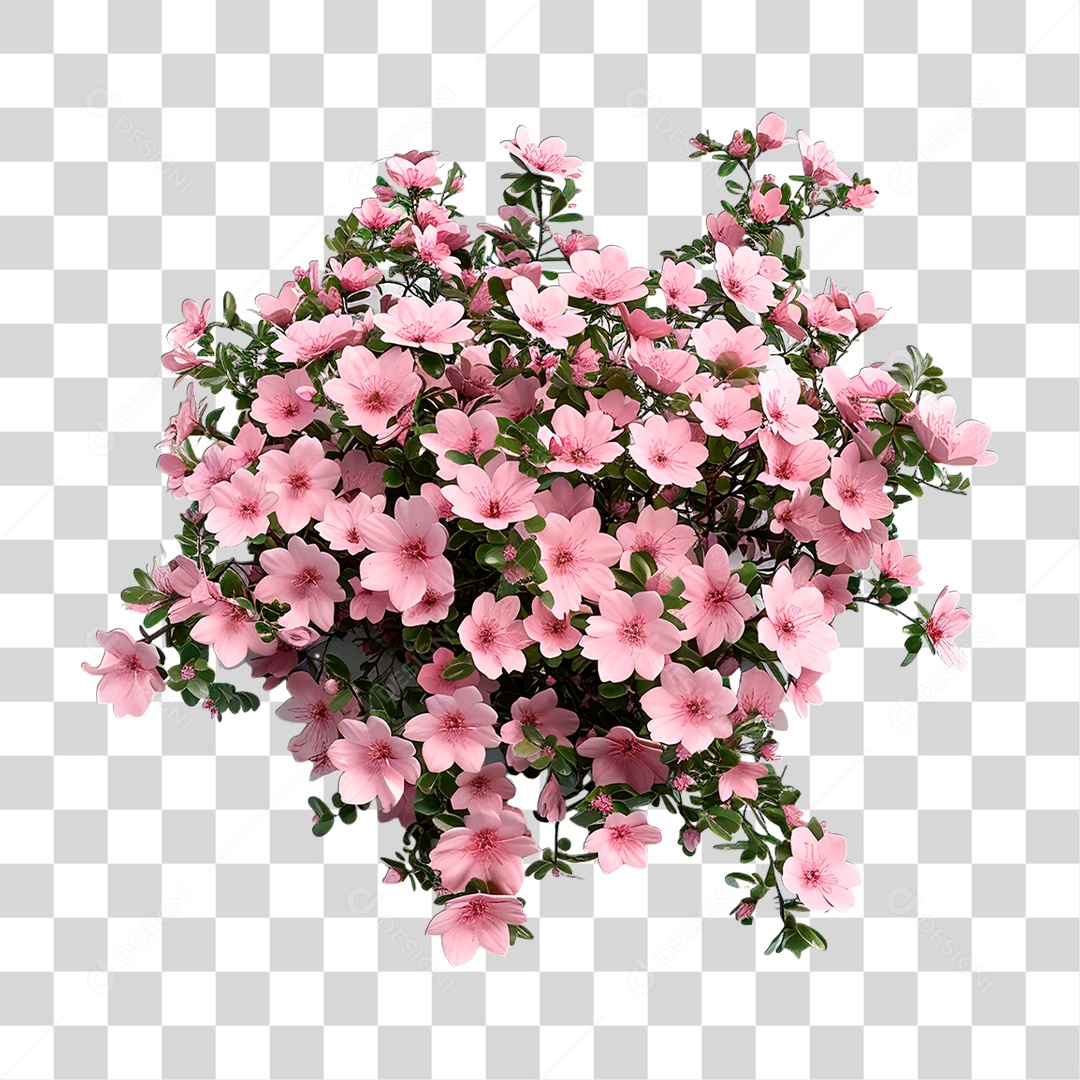 Flor PNG Transparente