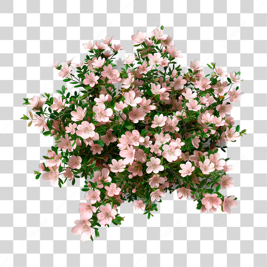 Flor PNG Transparente