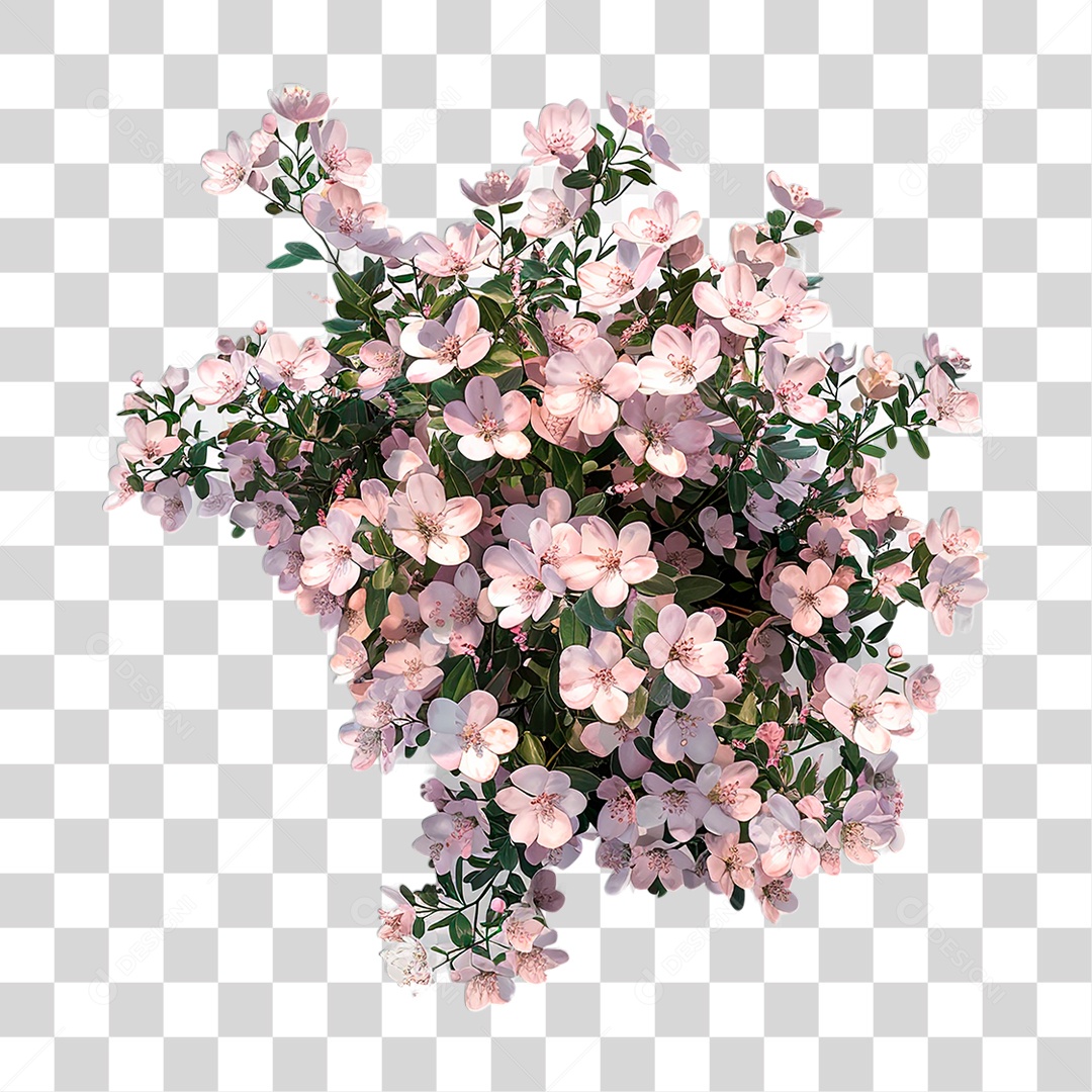 Flores PNG Transparente