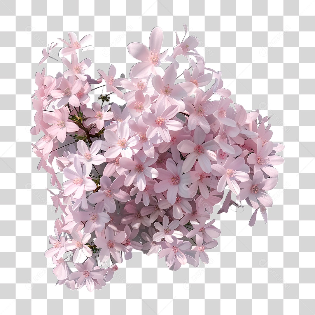 Flores PNG Transparente
