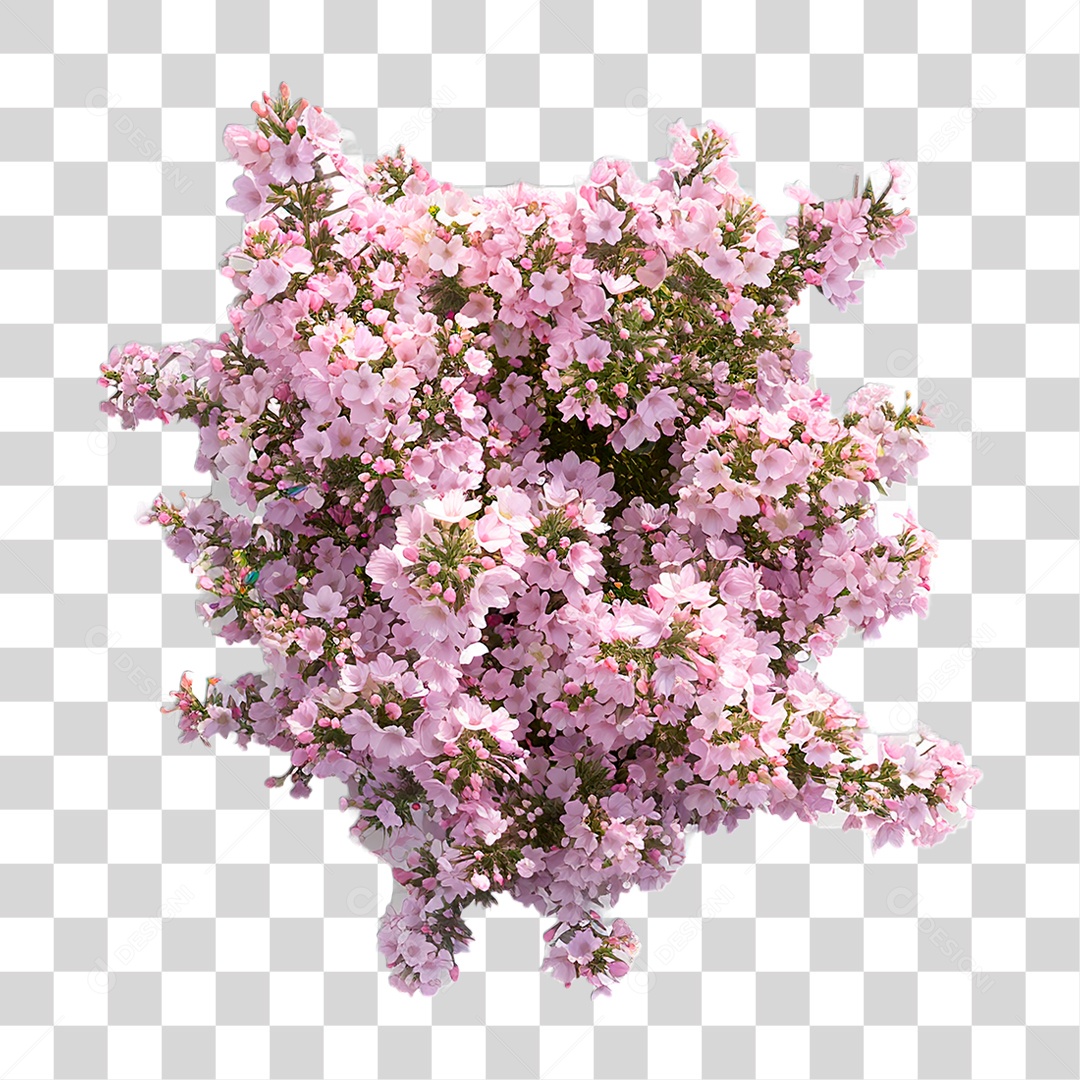 Flores PNG Transparente