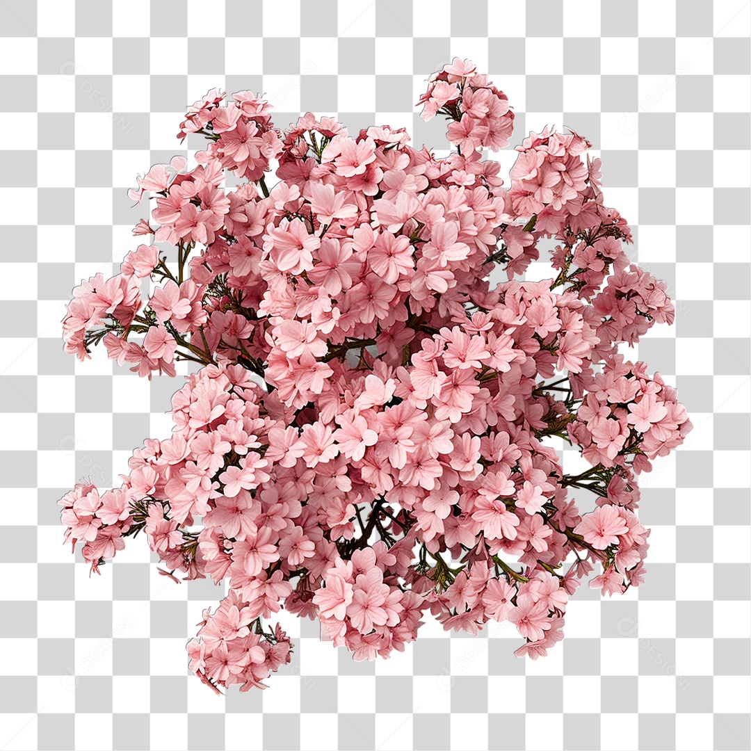 Flores PNG Transparente