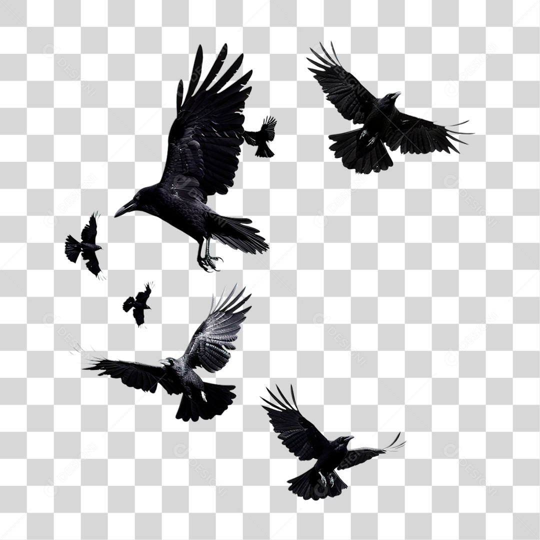 Pássaros Preto PNG Transparente