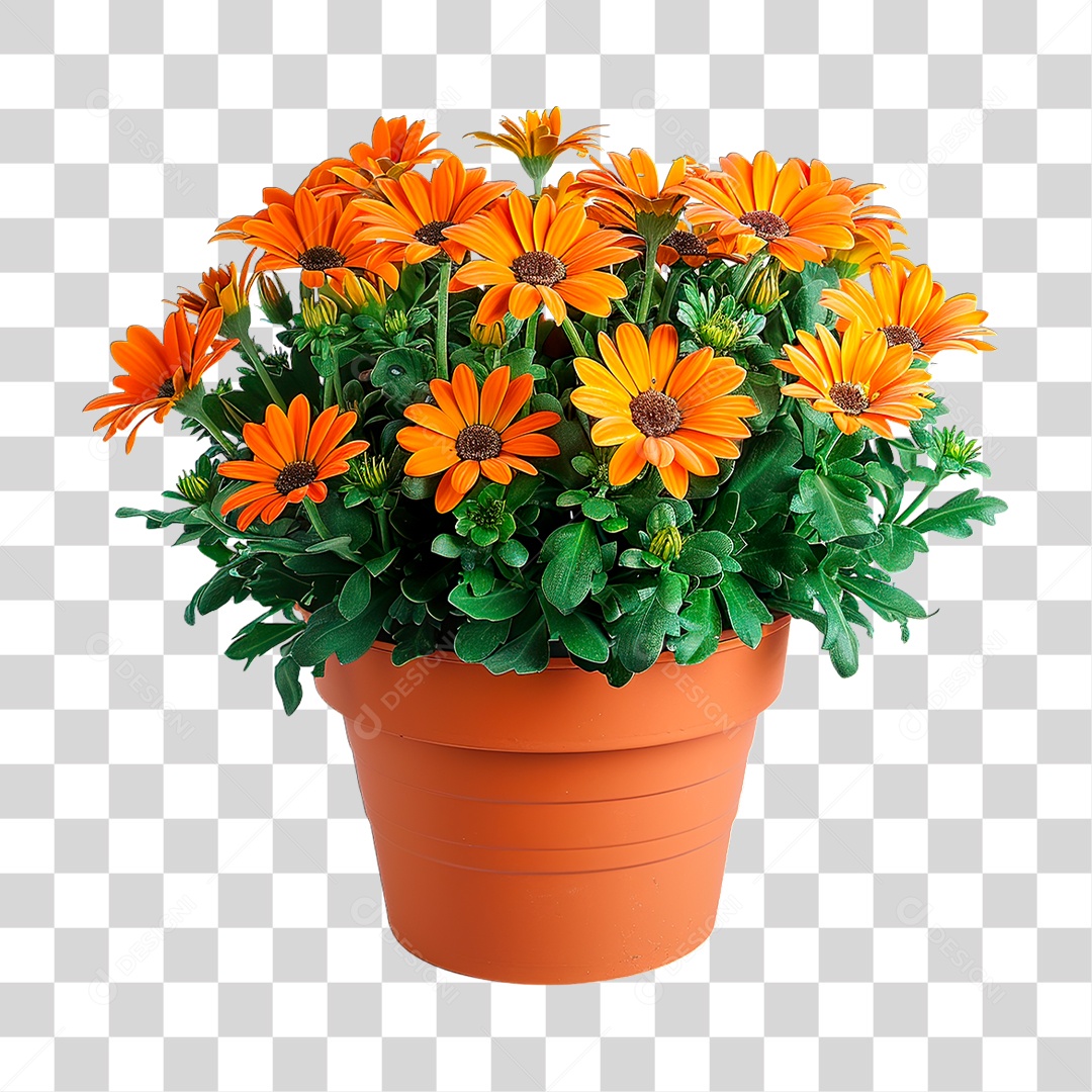 Flores em Vazo PNG Transparente