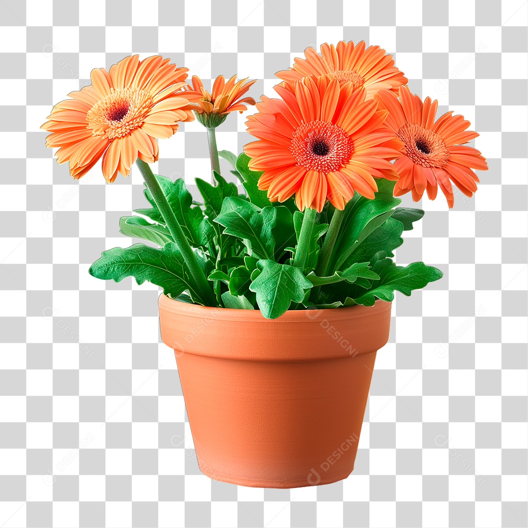 Flores em Vazo PNG Transparente