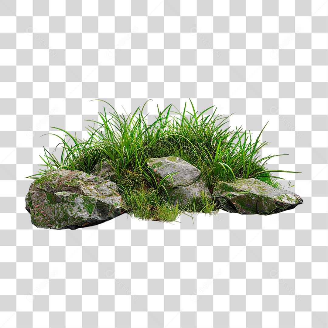 Grama Rocha PNG Transparente