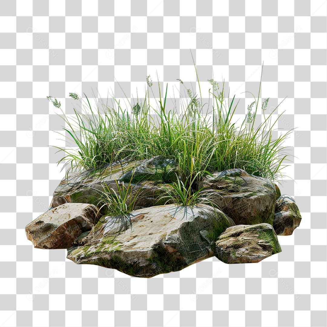Rock Grass Transparent PNG