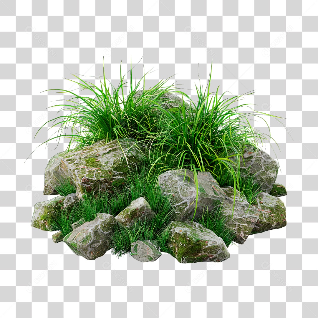 Grama Rochas PNG Transparente