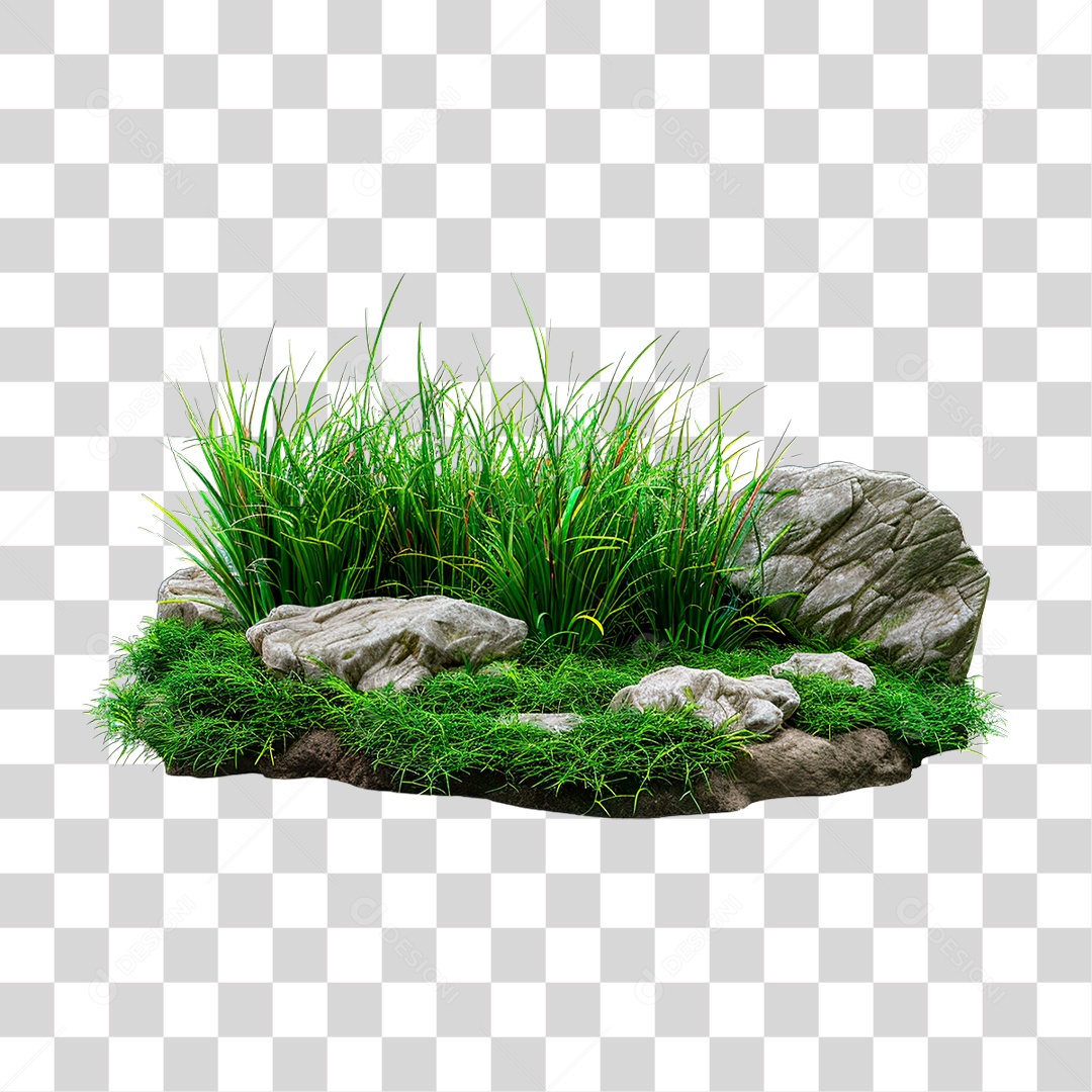 Grama Rocha PNG Transparente