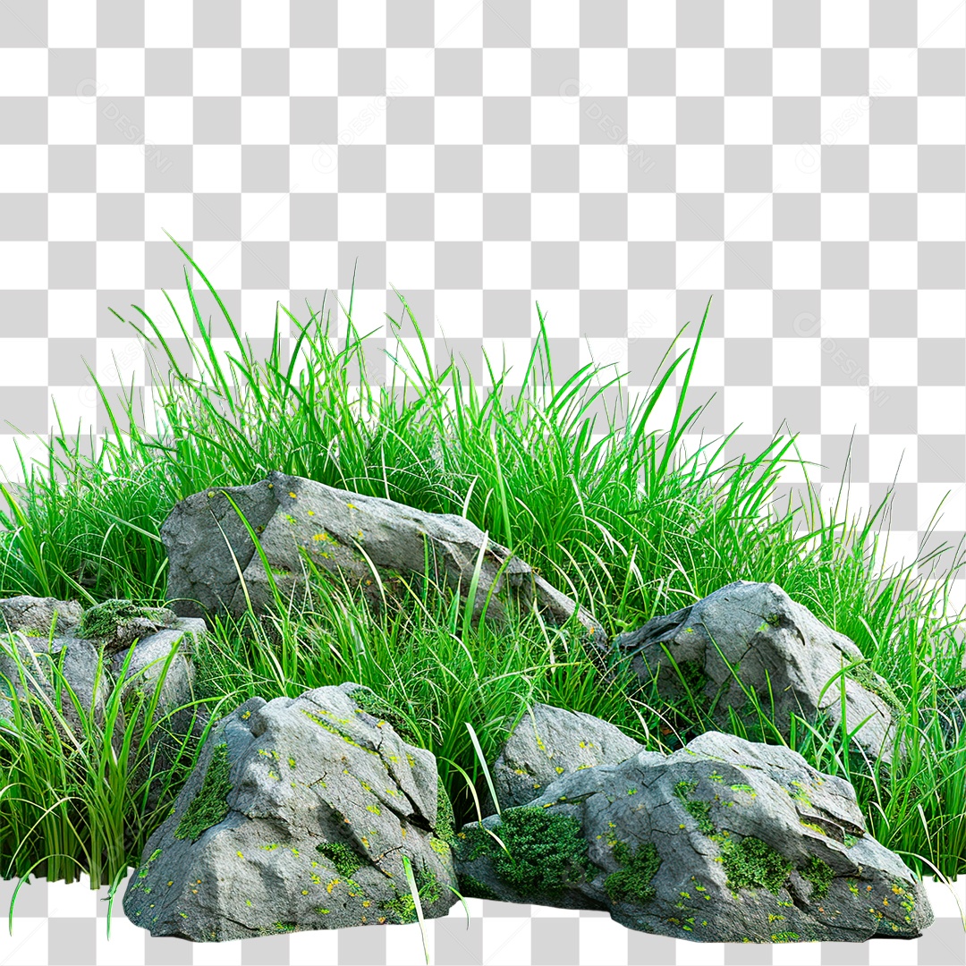 Grama Rocha PNG Transparente
