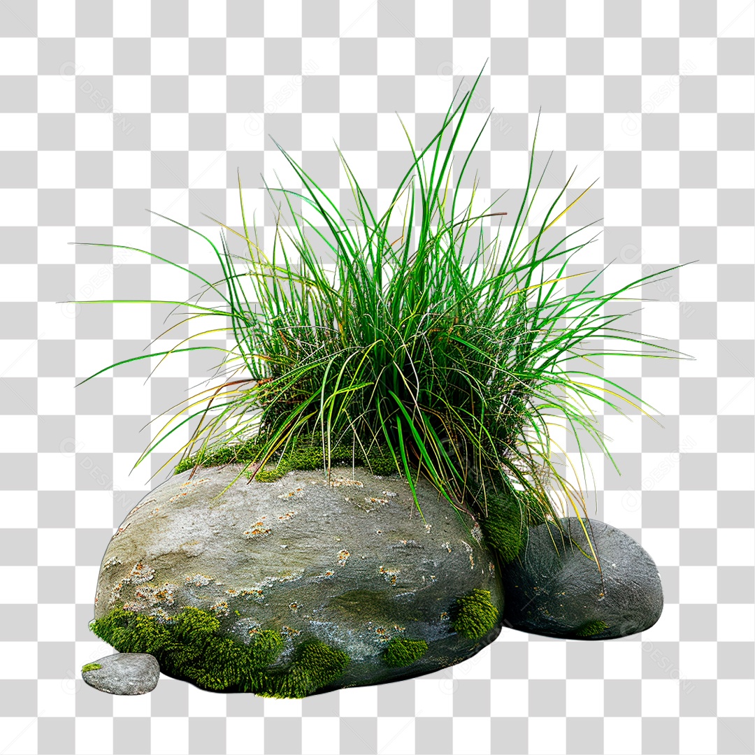 Grama Rocha PNG Transparente
