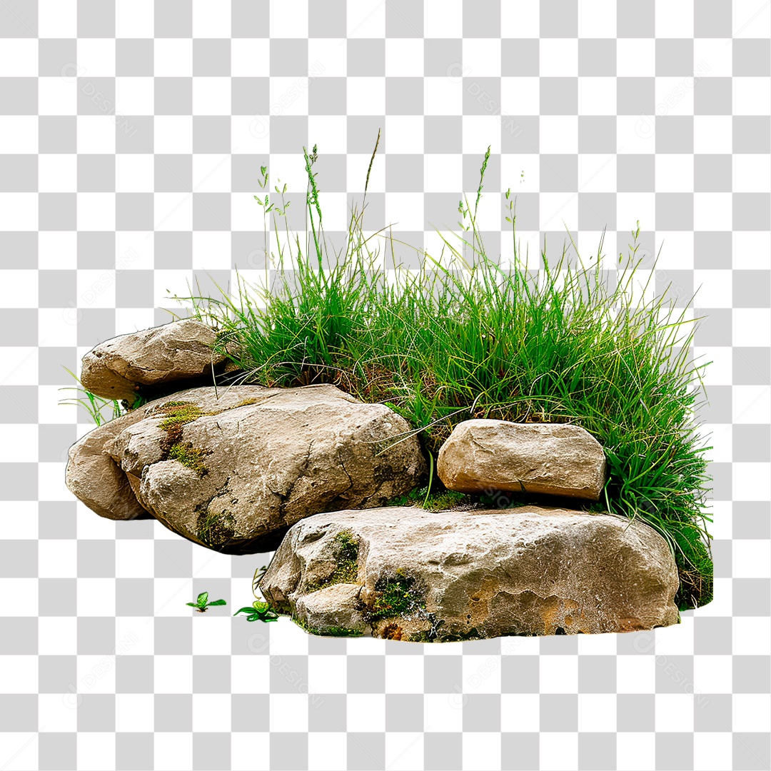 Grama Rocha PNG Transparente