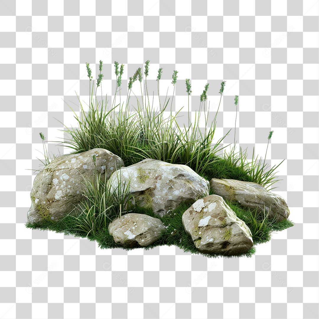 Grama Rocha PNG Transparente