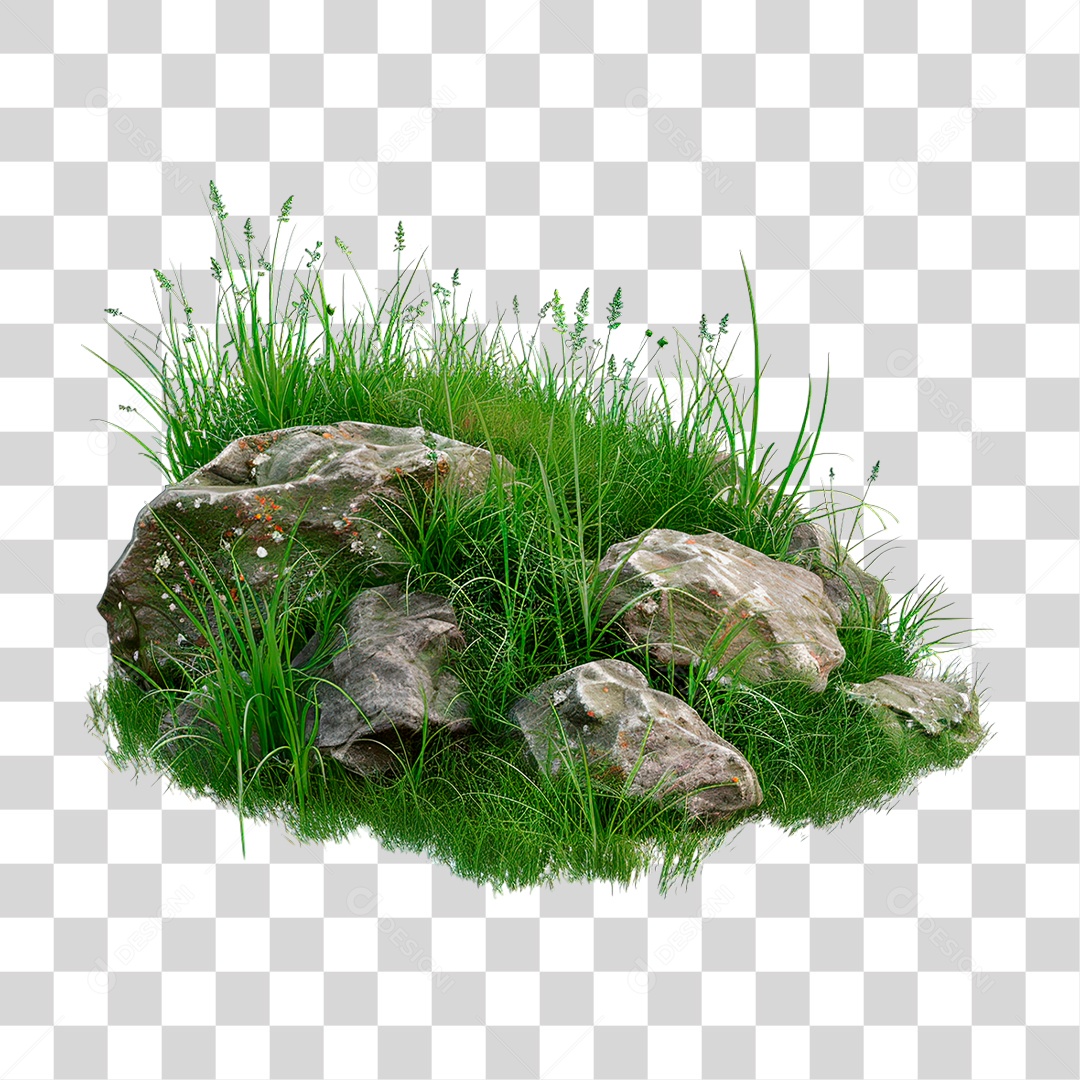 Grama Rocha PNG Transparente