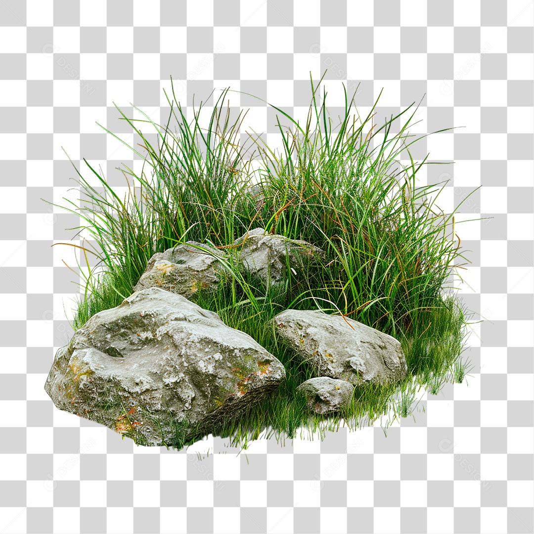 Grama Rocha PNG Transparente