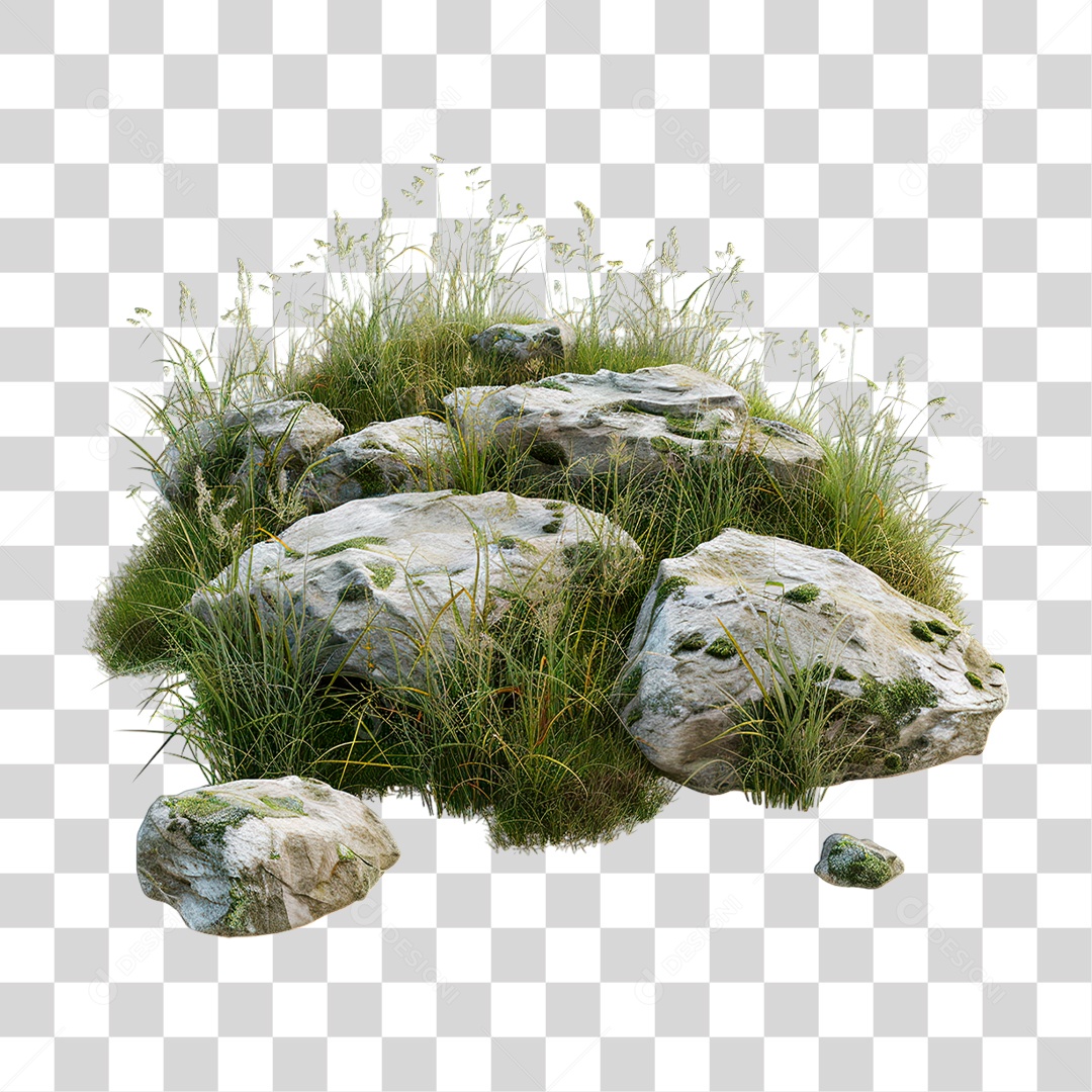 Grama Rocha PNG Transparente