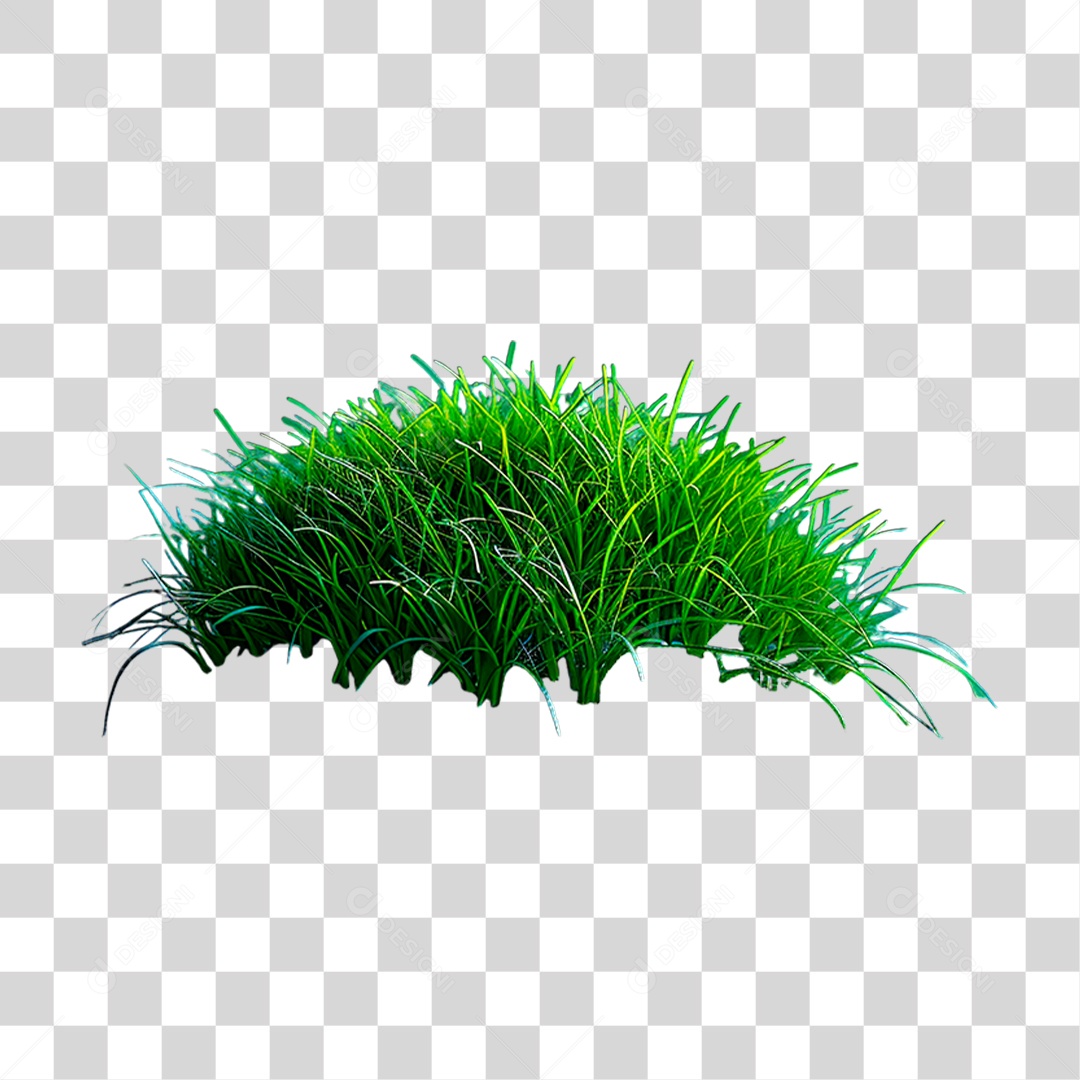 Capim Verde PNG Transparente