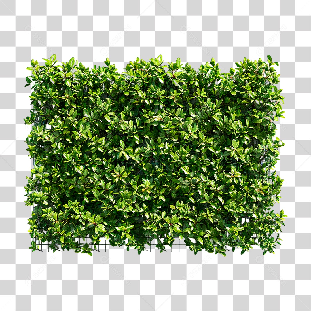 Arbusto PNG Transparente