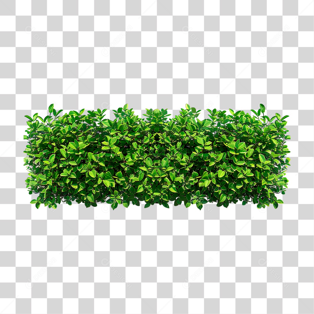 Arbusto PNG Transparente